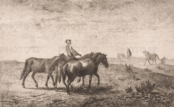 Man leading three horses through a meadow, print, printmaker: Lambert Jacquelart, 1830 - 1910,