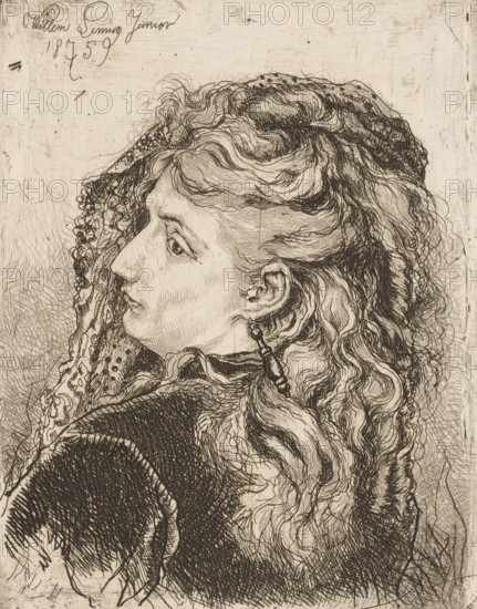 Portrait of an unknown woman, print, printmaker: Willem Linnig (II), 1875, paper, etching, intaglio
