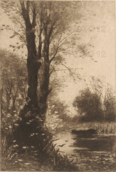 Autumn morning (original title), Trees on the water, print, printmaker: Philip Zilcken, 1867 -