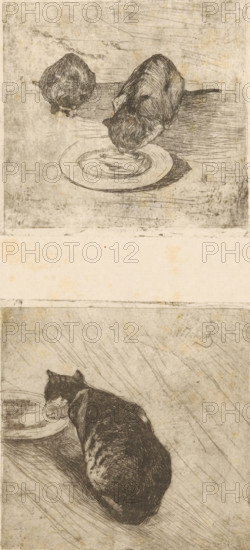 Print with two cats, one drinking from a plate and a print with a drinking cat, Two kittens,