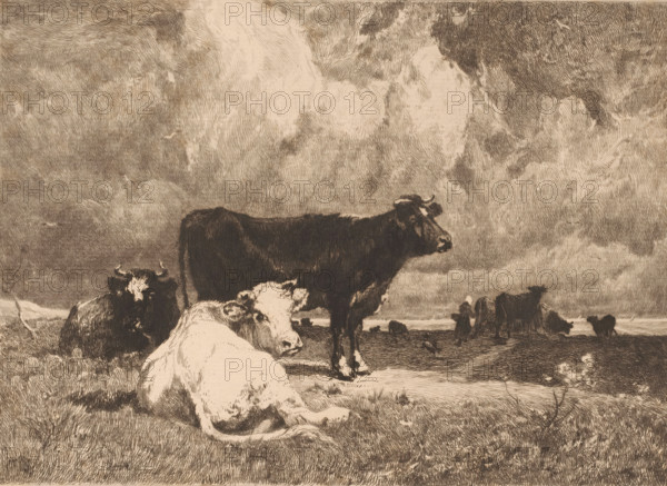 La Falaise., Cows in a landscape under a cloudy sky, print, printmaker: Théophile Chauvel, France,