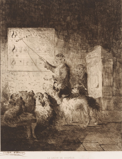 The music theory lesson, Monkey giving music lessons to a class of dogs, La leçon de solfège,