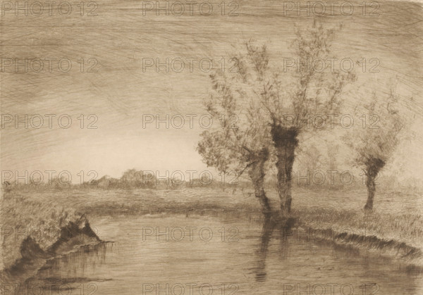 Landscape with three willows along a brook, print, printmaker: Henri Rul, 1872 - 1913, paper,