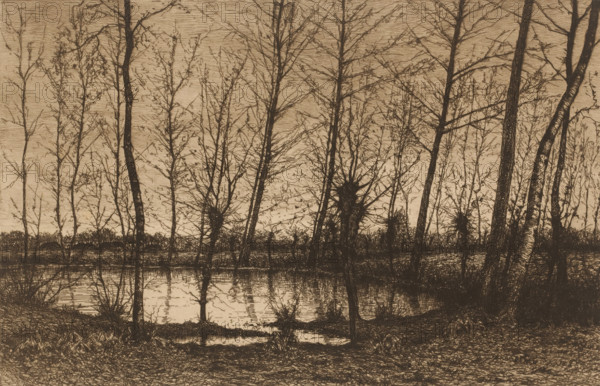 Landscape with pond surrounded by trees, print, Remarque with bird lower left in the margin., mark: