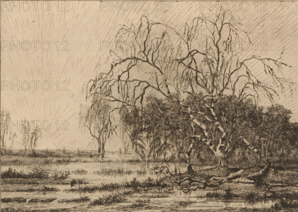 Swamp at sunrise, print, printmaker: Théodore Tscharner, 1836 - 1906, paper, etching, drypoint,
