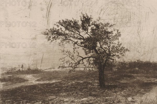 Landscape in the Kempen, print, printmaker: Jerôme Tuyttens (signed by artist), c. 1850 - 1883,