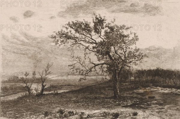 Landscape in the Kempen, print, printmaker: Jerôme Tuyttens (signed by artist), c. 1850 - 1883,
