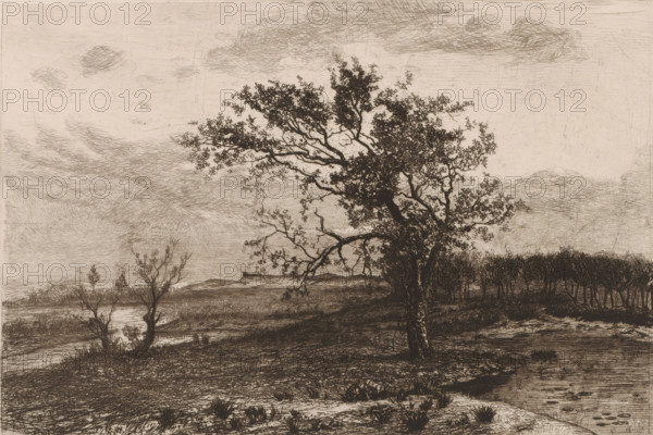 Landscape in the Kempen, print, printmaker: Jerôme Tuyttens, c. 1850 - 1883, paper, etching,