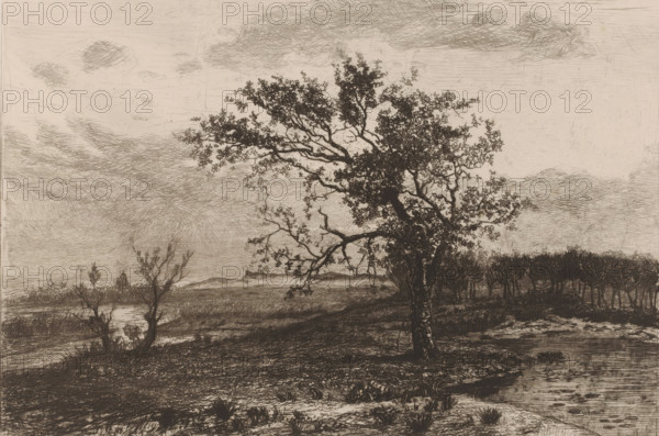 Landscape in the Kempen, print, annotation: 'Le s... dans la bruyere, tuytens', printmaker: Jerôme
