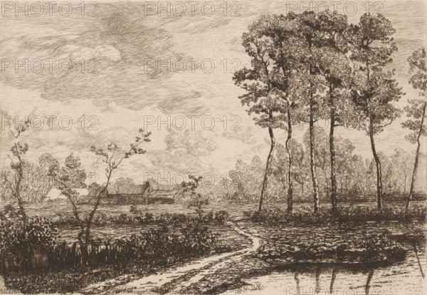 Landscape with row of birches, print, printmaker: Jerôme Tuyttens (signed by artist), c. 1850 -