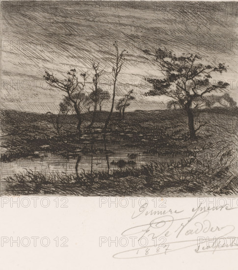 Bare trees by a pond, print, inscription: 'Derniere epreuve, 1887 sculpsit', printmaker: Frans de