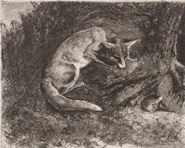 Fox hunting a rabbit, print, printmaker: Charles Verlat, 1834 - 1890, paper, etching, drypoint,