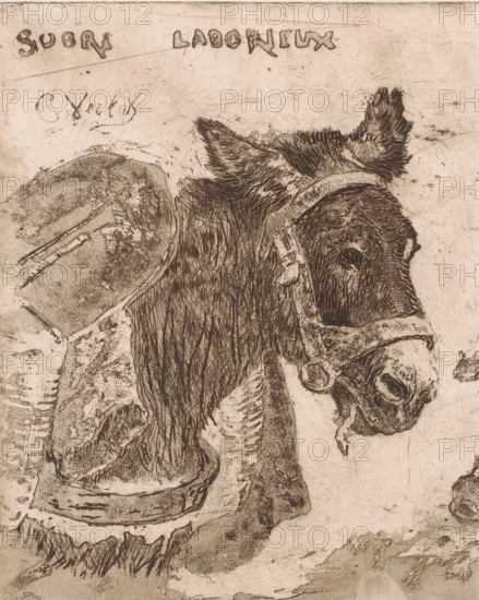 Donkey and pig, Sobre laborieux, print, A pack donkey and an eating pig, where the text above the