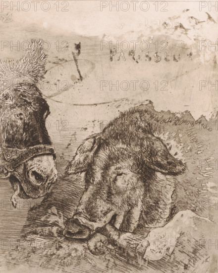 Glouton et paresseux, Donkey and pig, print, A pack donkey and an eating pig, in which the text