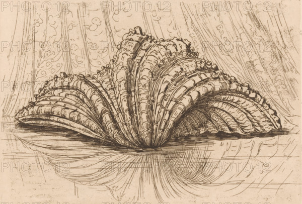Shell, print, printmaker: Maurits van der Valk (signed by artist), 1867 - 1914, paper, etching,