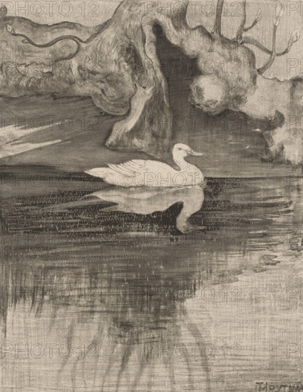 Pond with duck, print, The duck swims near tree roots., printmaker: Theo van Hoytema (signed by
