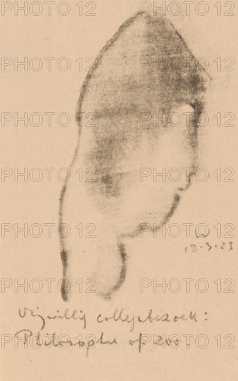 Abstracted head, Idealists II and further Marginal Notes (original series title), print, At the