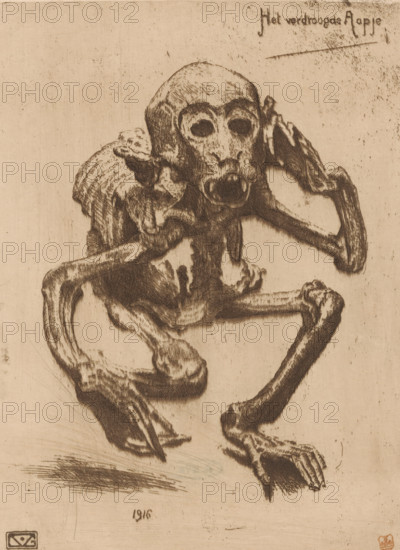 The dried-up monkey (original title on object), print, Skeleton of a monkey., printmaker: Gerard