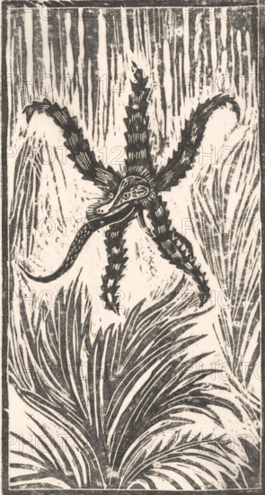 Sea monster, print, printmaker: Janus de Winter (signed by artist), 1892 - 1938, paper, Japanese