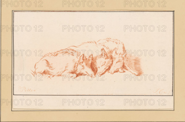 Three lying pigs, print, The print is loose in an album, see pages 126-128., inscription: 'J