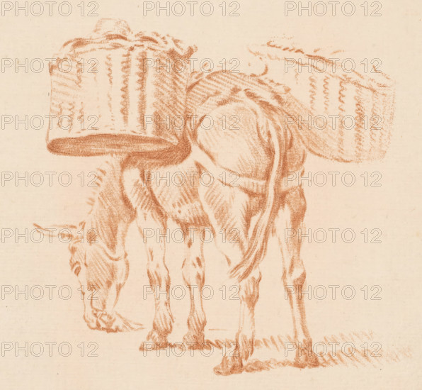 Loaded donkey, print, A donkey with two baskets on its back. The print lies loose in an album, see