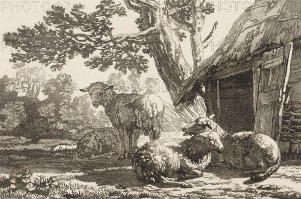 Sheepfold, print, Four sheep by the open sheepfold. The print is loose in an album, see page 44.,