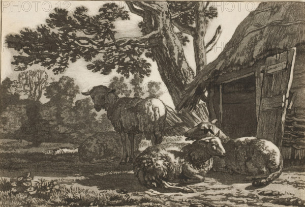 Sheepfold, print, Four sheep by the open sheepfold. The print is loose in an album, see page 44.,