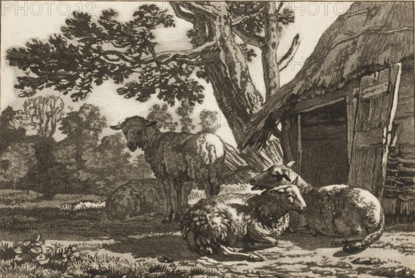 Sheepfold, print, Four sheep by the open sheepfold. The print is loose in an album, see page 44.,