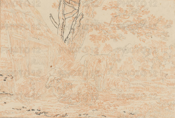 Sheepfold, drawing, Four sheep at the opened sheepfold. The copy drawing is loose in an album, see