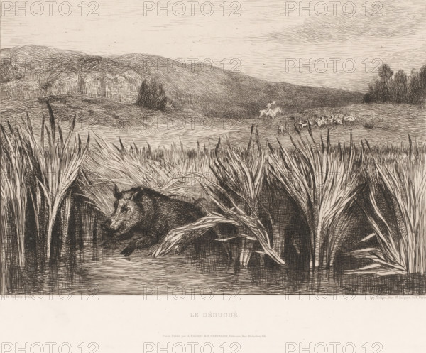 Hunt for a wild boar, Le débuché, print, Numbered 50 in the upper right., printmaker: Albert de