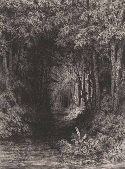 Stream through the forest, print, printmaker: César de Cock, 1833 - 1879, paper, chine collé,
