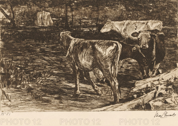 Four cows in a meadow, Melkbocht (original title), print, printmaker: Willem de Zwart (signed by