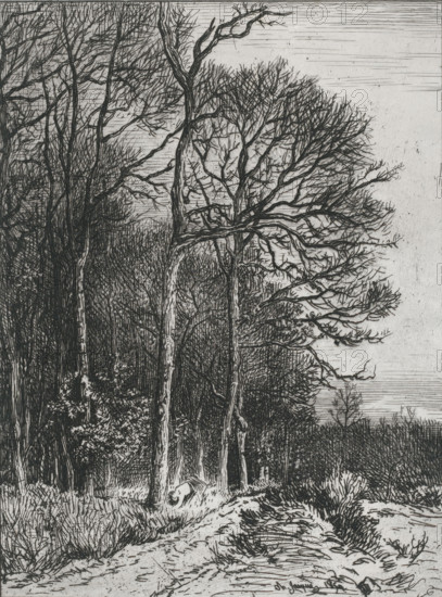 Landscape at the edge of a forest, Lisière du bois, print, printmaker: Charles Emile Jacque,