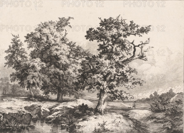 Les Chênes dans la plain, Landscape with oaks, walker and dog, Études gravées d'après nature,