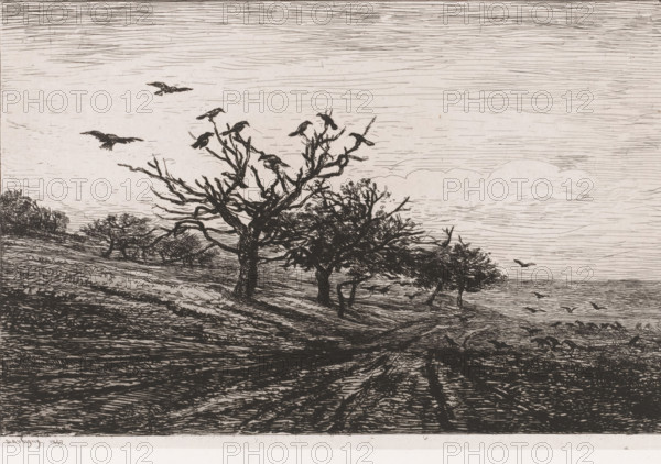 Landscape with trees and crows, L'arbre aux corbeaux, print, printmaker: Charles-François Daubigny,