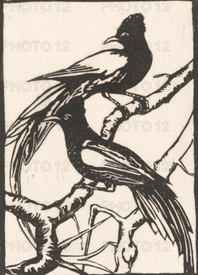 Two birds on a branch, Two exotic birds, print, Possibly two crested cuckoos., inscription: 'No