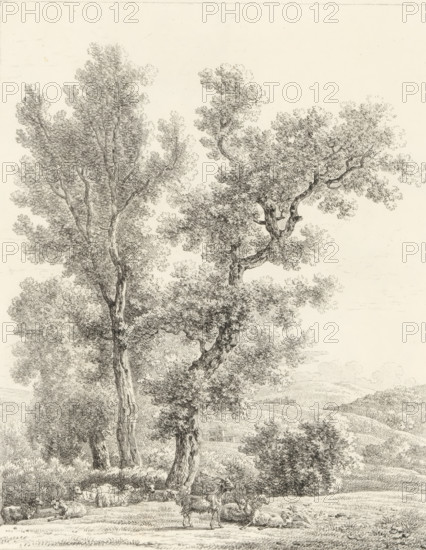 Landscape with flock of sheep, Receuil de dessins sur pierre, Series of lithographs, print, album