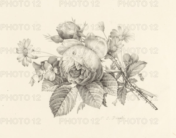 Bouquet with a rose, Receuil de dessins sur pierre, Series of lithographs, print, album page, Print