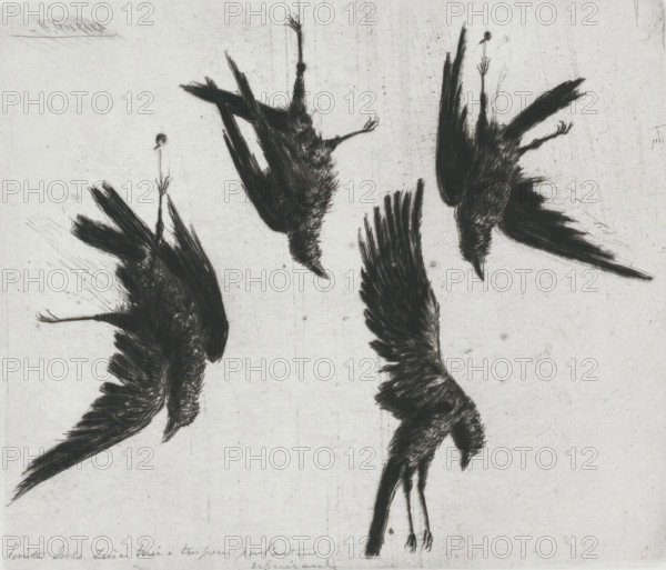 Four dead crows hanging on a wall, print, annotation: 'Pointe Seche ... tiré à ... par