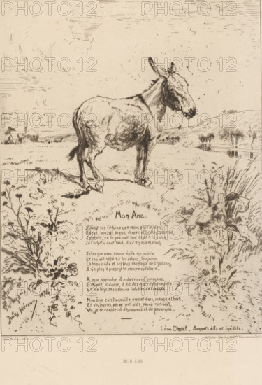 Landscape with donkey, Mon âne, French etchings from 1875, L'eau-forte en 1875, print, Series