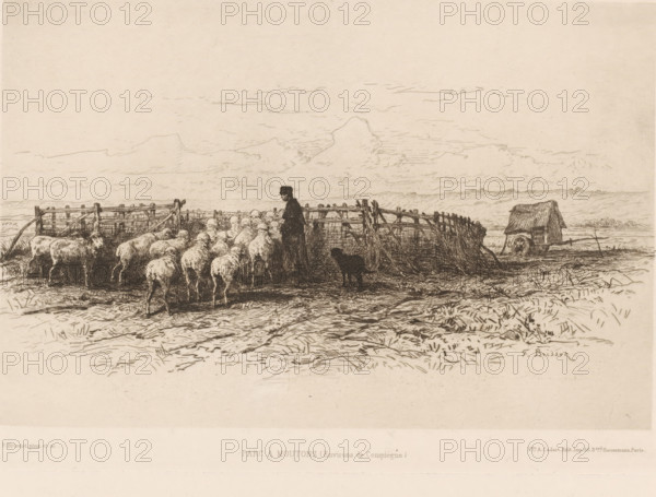 Shepherd with flock, Parc à moutons, L'eau-forte en 1881, French etching from 1881, print, Series