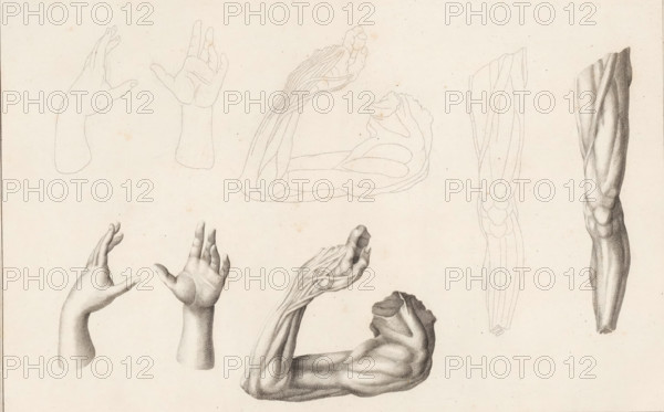 Leg, arm and two hands, Description of a general graphometer, print, album page, book illustration,