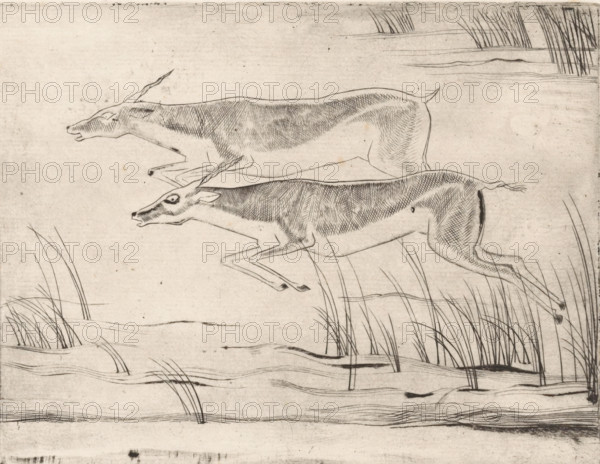 Two running gazelles, print, stamp: 'Ph. J.', printmaker: Willem Retera, 1910 - 1955, paper,