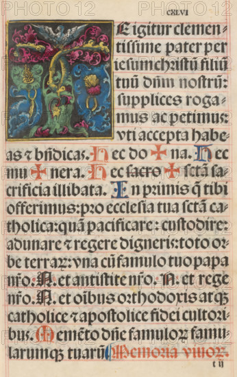 Initial T (Zahltafel) with owl and border decoration of grapes and leaf motifs, print, album page,