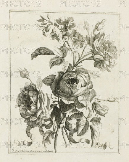Bound bouquet, Les Petits Bouquets, print, album page, Bound bouquet. Print is part of an album.,