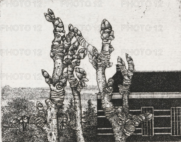 Tree buds, print, Tree buds in the foreground, a house in the background., signature: 'KEES STOOP',