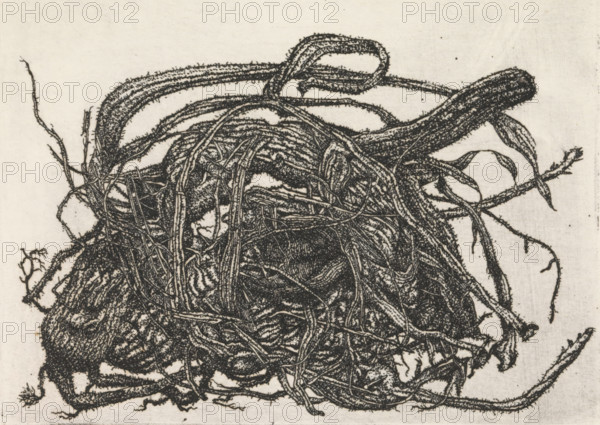 Tangle of branches, print, Tangle of branches., signature: 'KEES STOOP', print maker: Kees Stoop