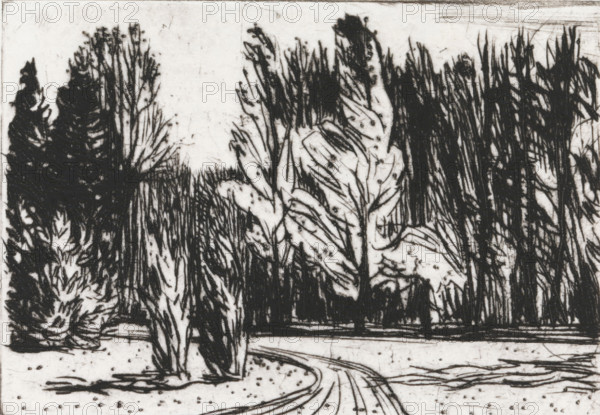 Park, print, Park with a road in the middle that curves to the left around two cypress trees.,