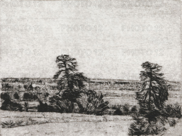 Pine trees on a sandy plain, print, the horizon below the center., signature: 'KEES STOOP',