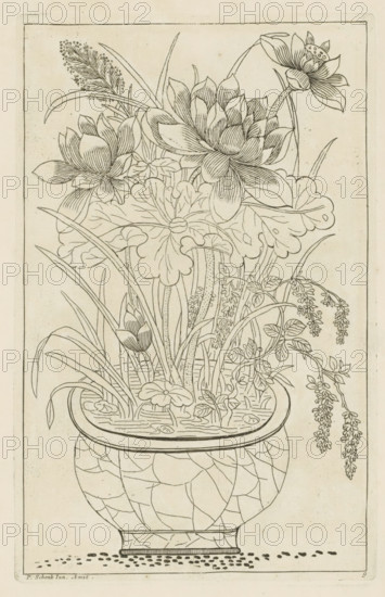 Vase with lotus flowers, Chinese women, flowers and birds, print, album page, ornamental print,